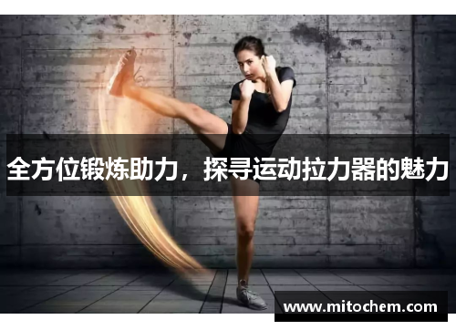 全方位锻炼助力，探寻运动拉力器的魅力