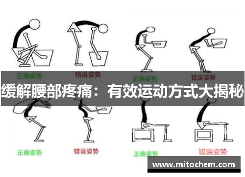 缓解腰部疼痛：有效运动方式大揭秘