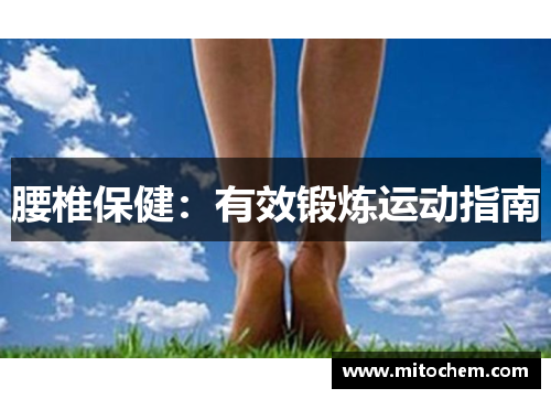 腰椎保健：有效锻炼运动指南