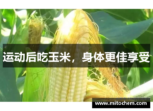 运动后吃玉米，身体更佳享受