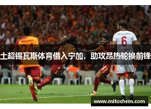 土超锡瓦斯体育借入宁加，助攻昂热轮换前锋